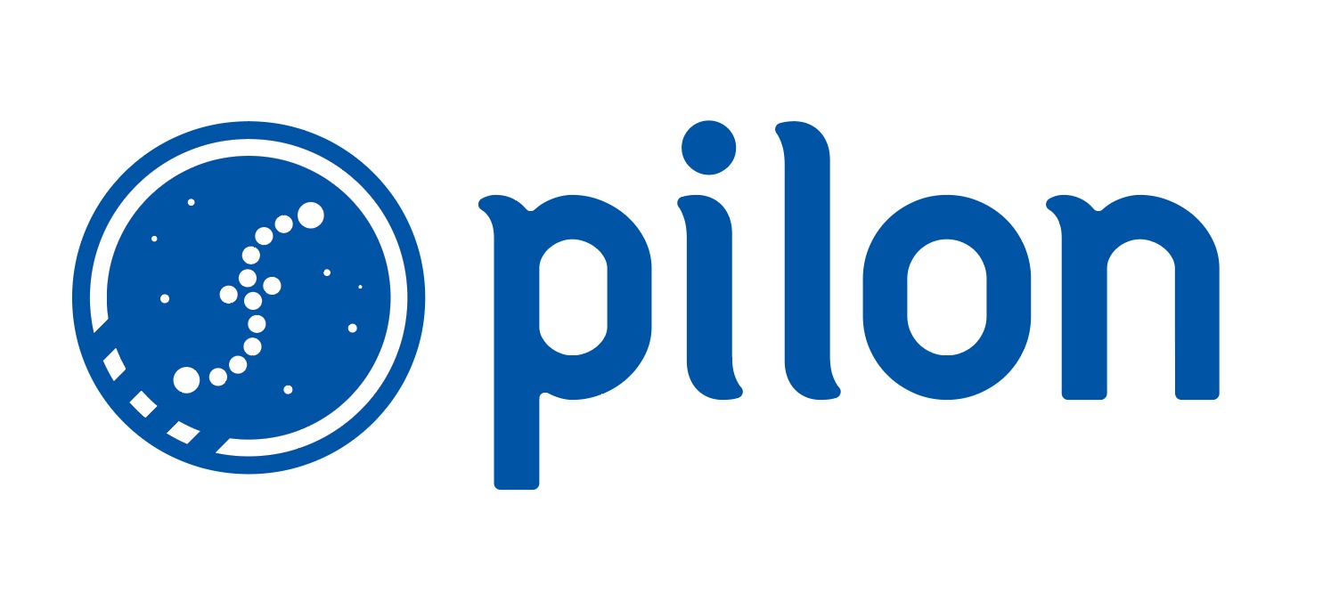 Pilon